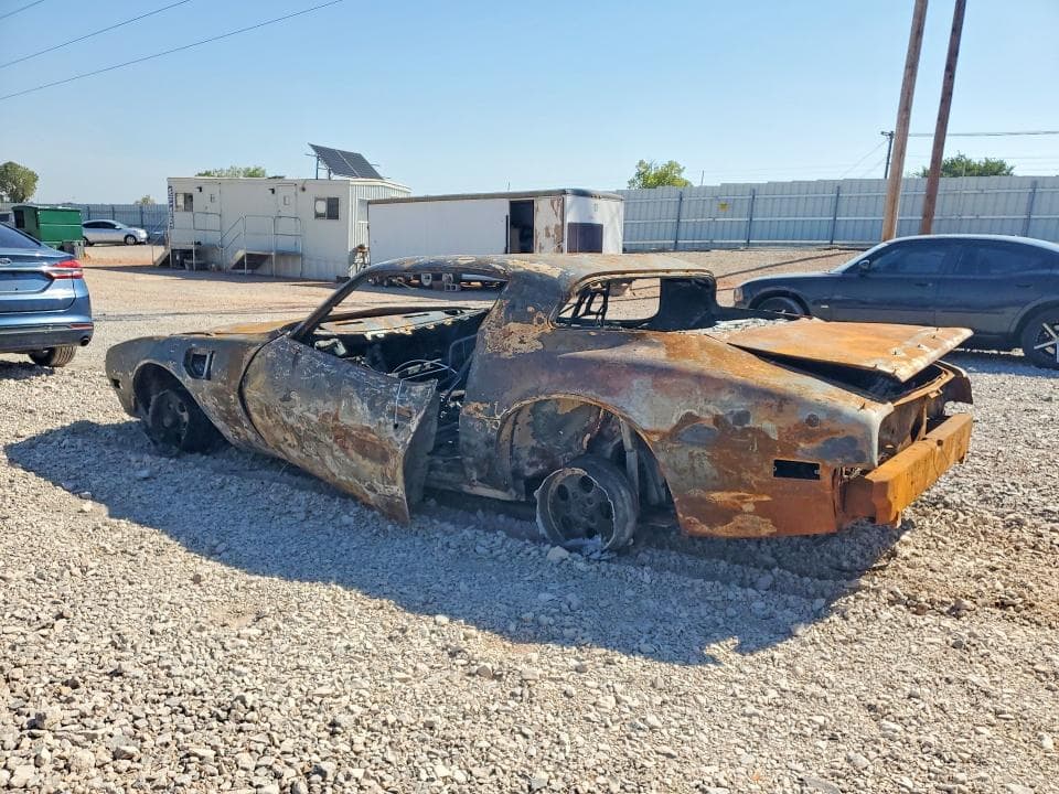 1981 PONTIAC FIREBIRD TRANS AM 2