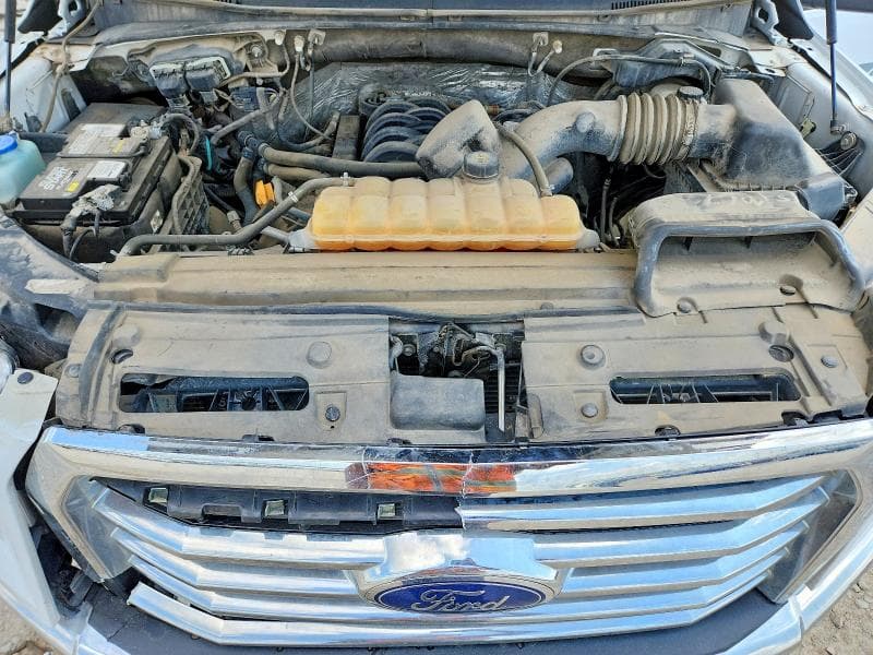 2017 FORD F150 11