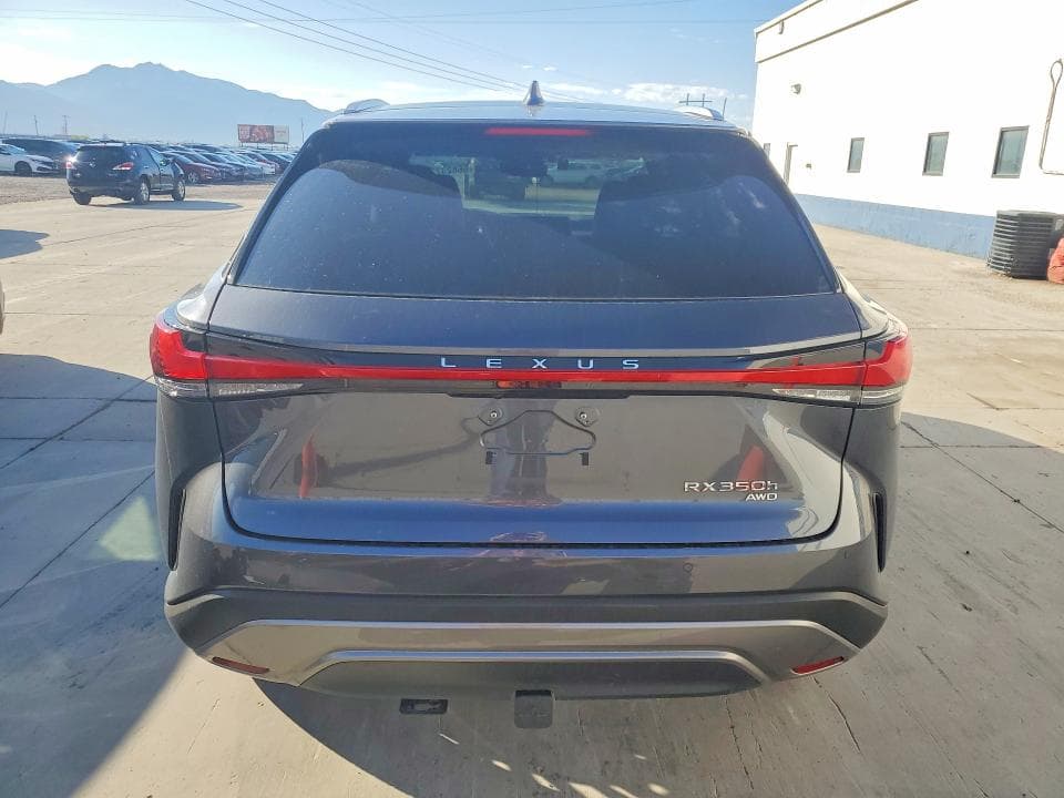 2025 LEXUS RX 350H LUXURY 6