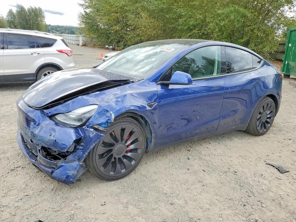 2022 TESLA MODEL Y - 1