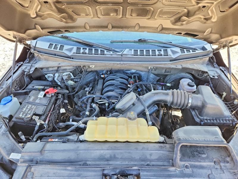 2020 FORD F150 11