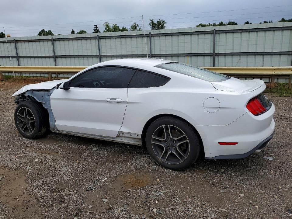 2019 FORD MUSTANG 2