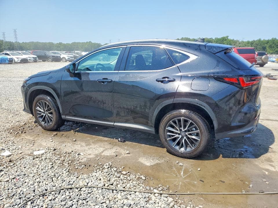 2025 LEXUS NX 250 PREMIUM 2