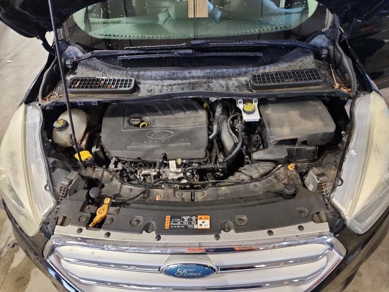 2017 FORD ESCAPE SE 12