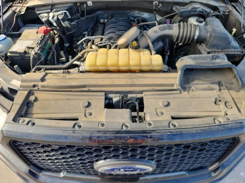 2019 FORD F150 STX 11