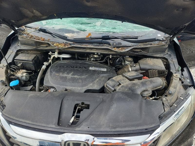 2019 HONDA ODYSSEY EXL 12
