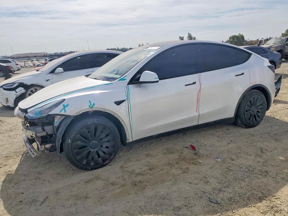 2021 TESLA MODEL Y - 1