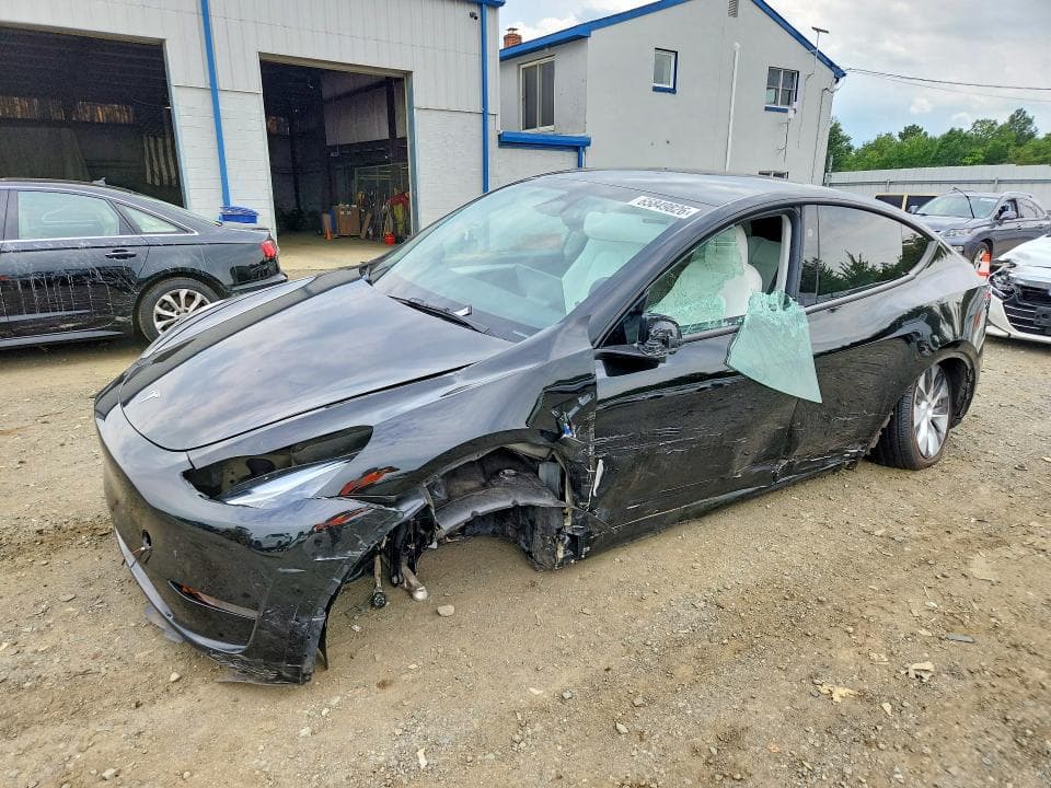 2023 TESLA MODEL Y - 1