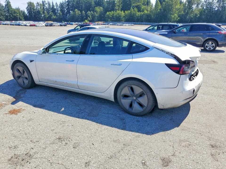 2019 TESLA MODEL 3 2