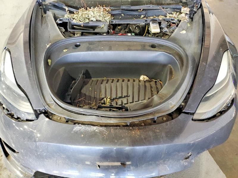 2023 TESLA MODEL 3 11