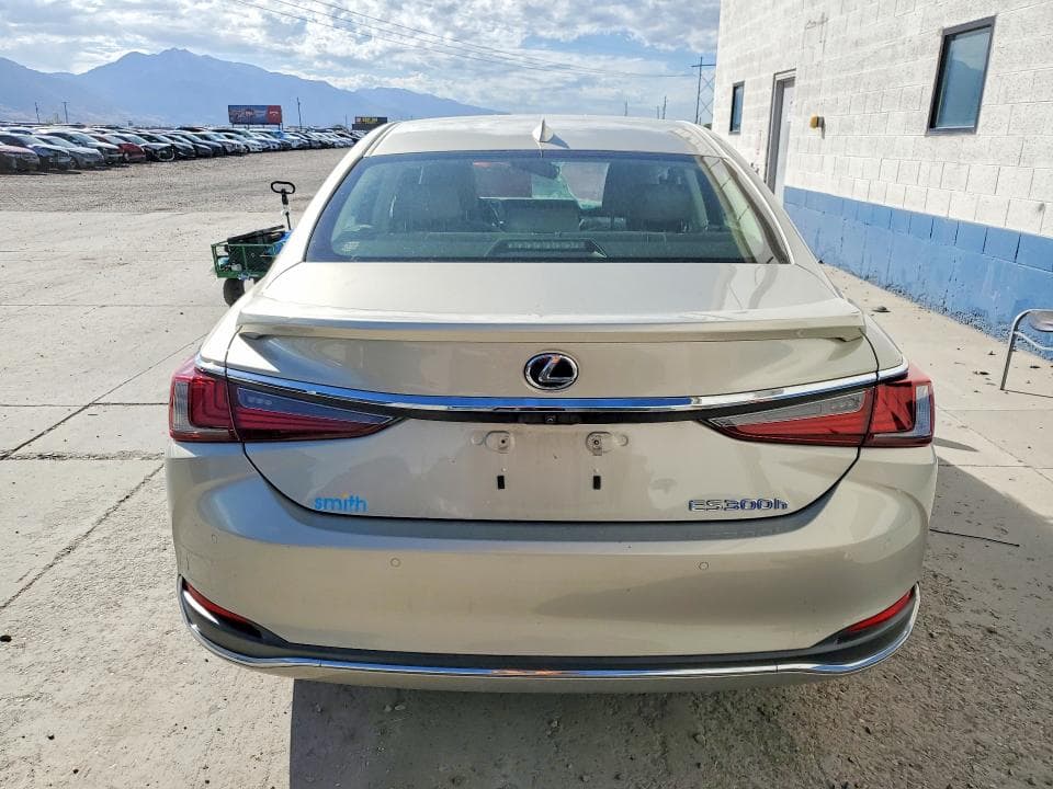 2019 LEXUS ES 300H 6