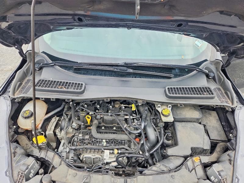 2019 FORD ESCAPE SE 12