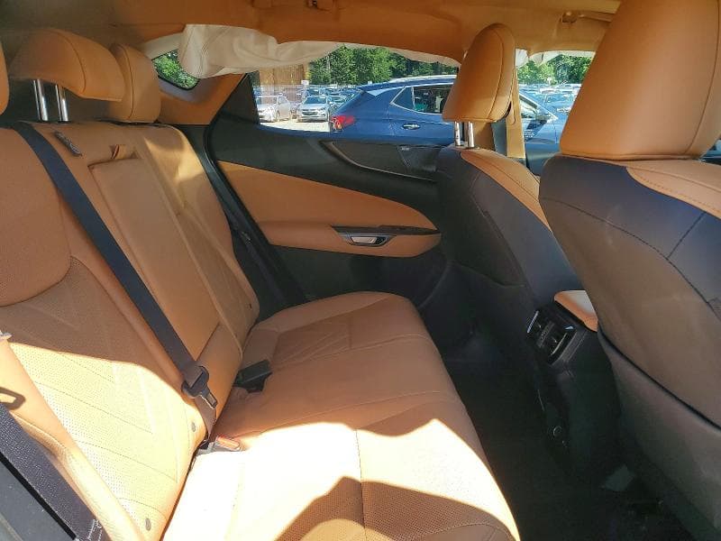 2024 LEXUS NX 350H LUXURY 11