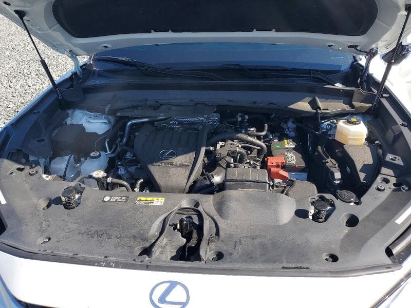 2024 LEXUS TX 350 PREMIUM 12
