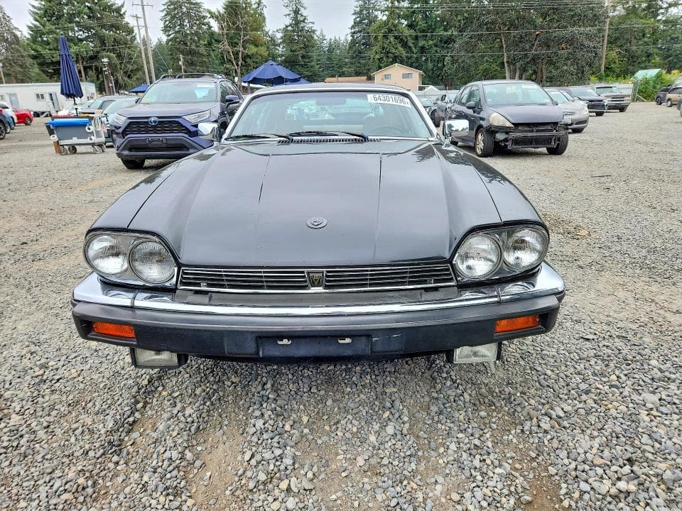 1983 JAGUAR XJS 5