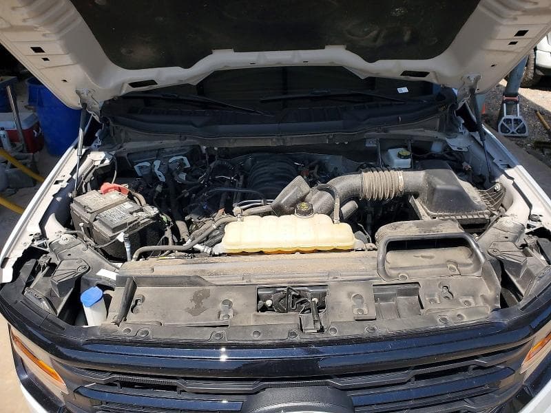 2025 FORD F150 XLT 11