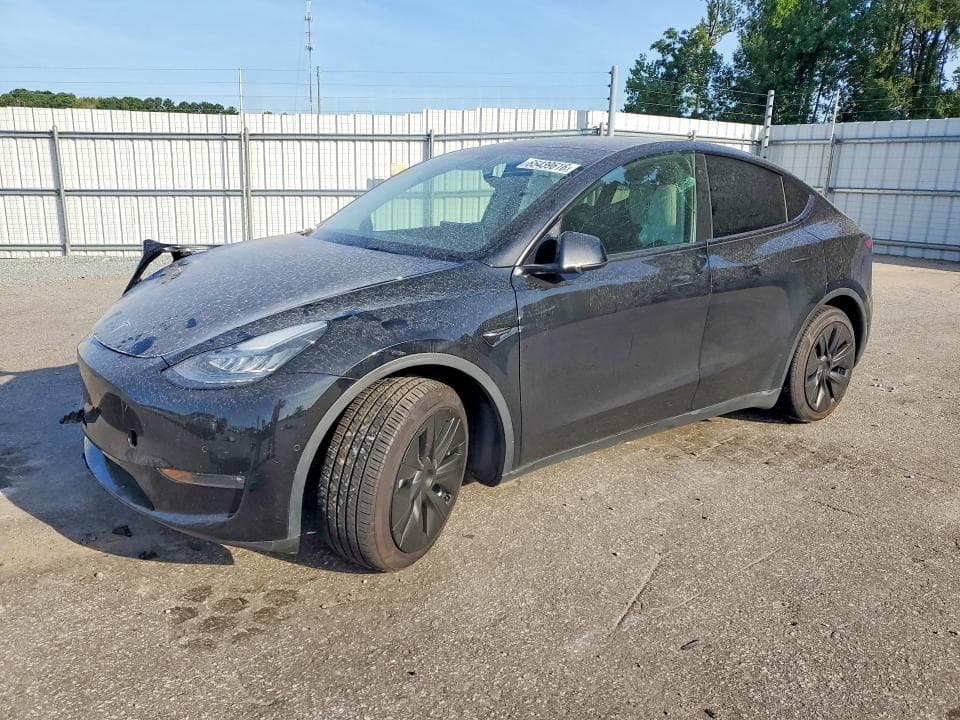 2021 TESLA MODEL Y - 1