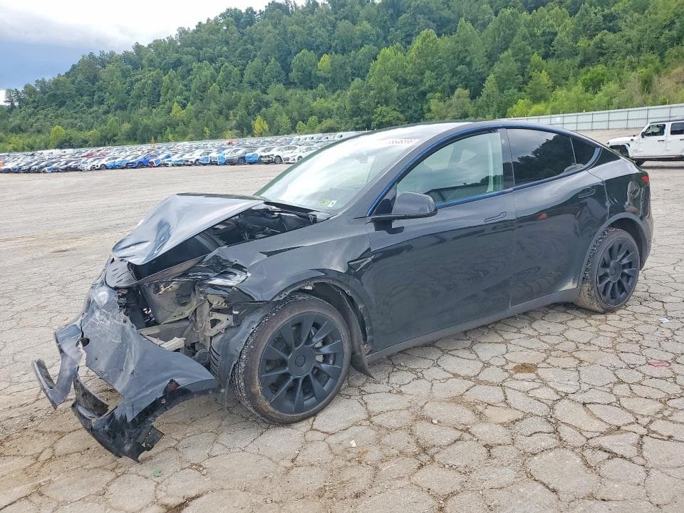 2021 TESLA MODEL Y - 1