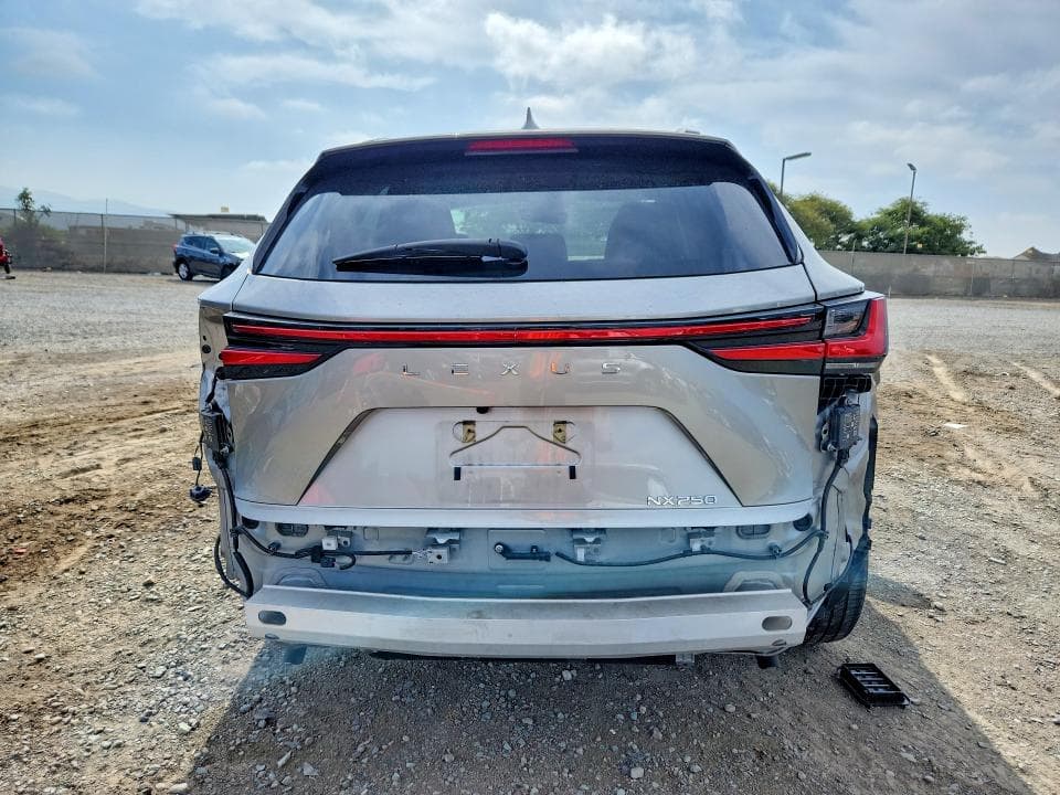 2023 LEXUS NX 250 6