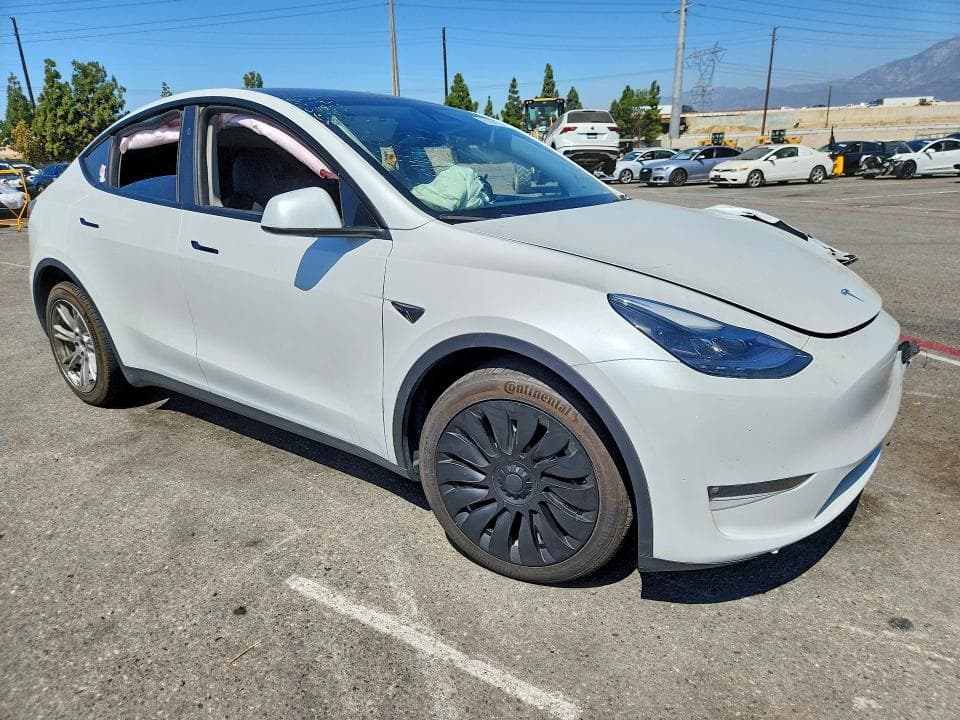 2024 TESLA MODEL Y 4
