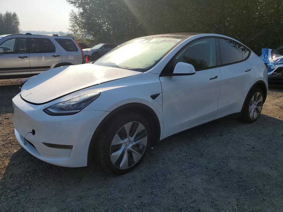 2021 TESLA MODEL Y - 1