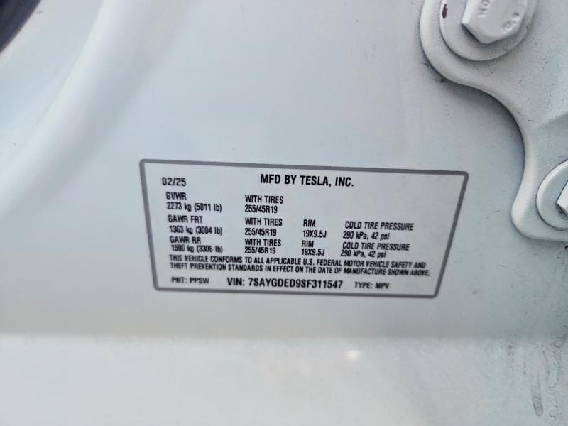 2025 TESLA MODEL Y 12