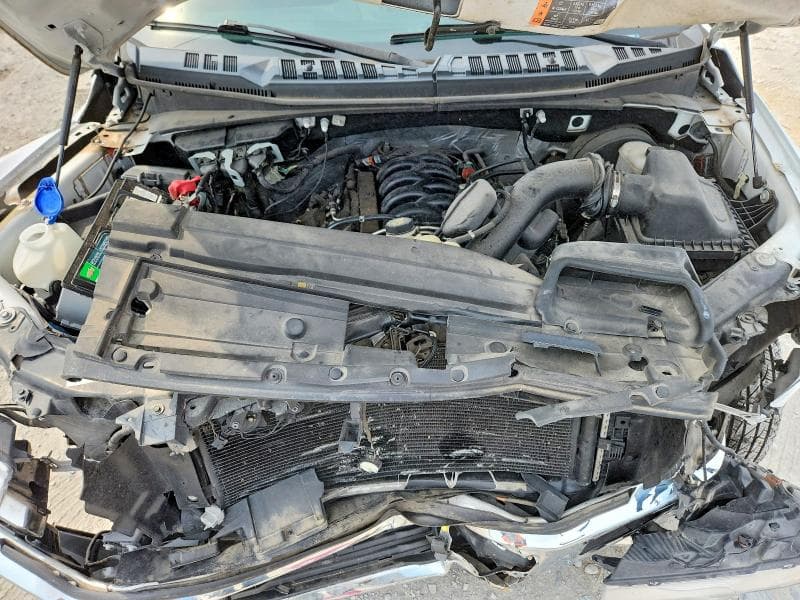 2019 FORD F-150 11
