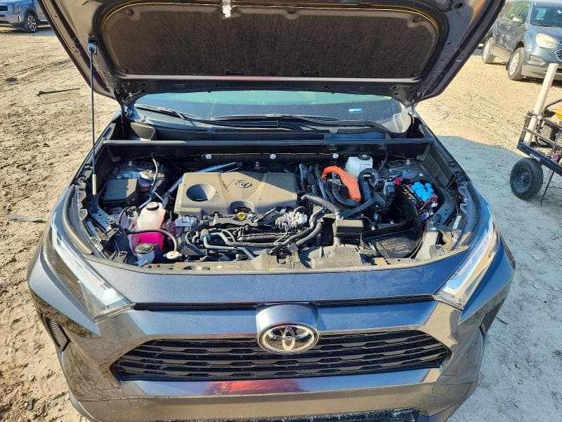 2025 TOYOTA RAV4 LE 12