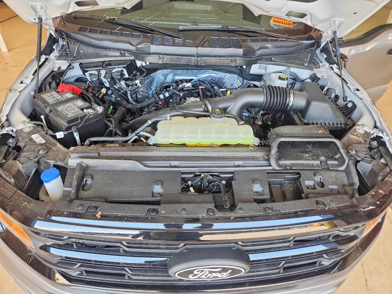 2025 FORD F150 XLT 11