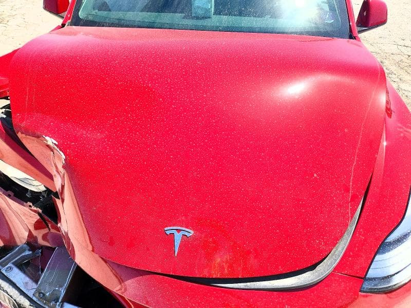 2023 TESLA MODEL Y 12