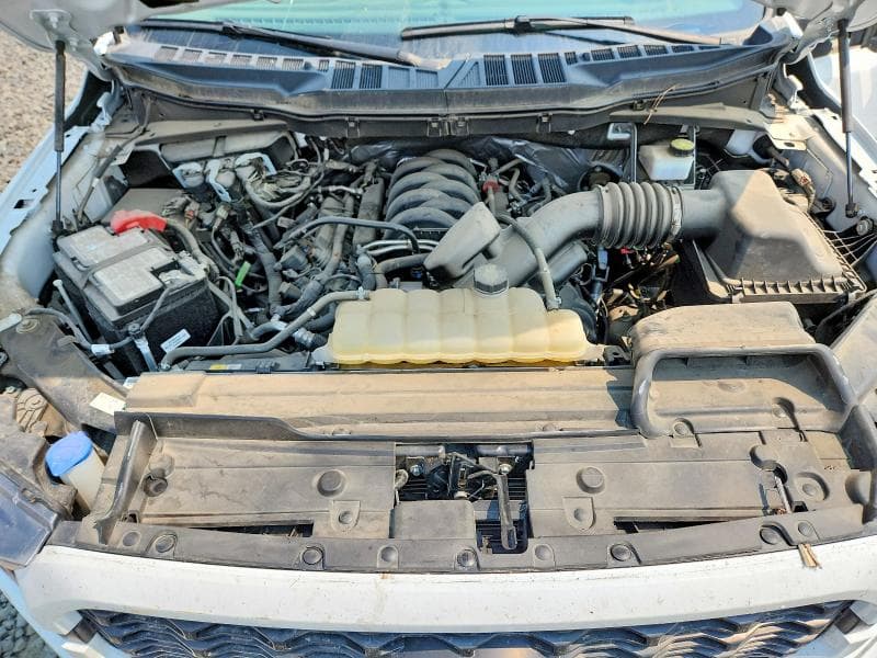 2023 FORD F150 SUPER CAB SUPER CAB 11