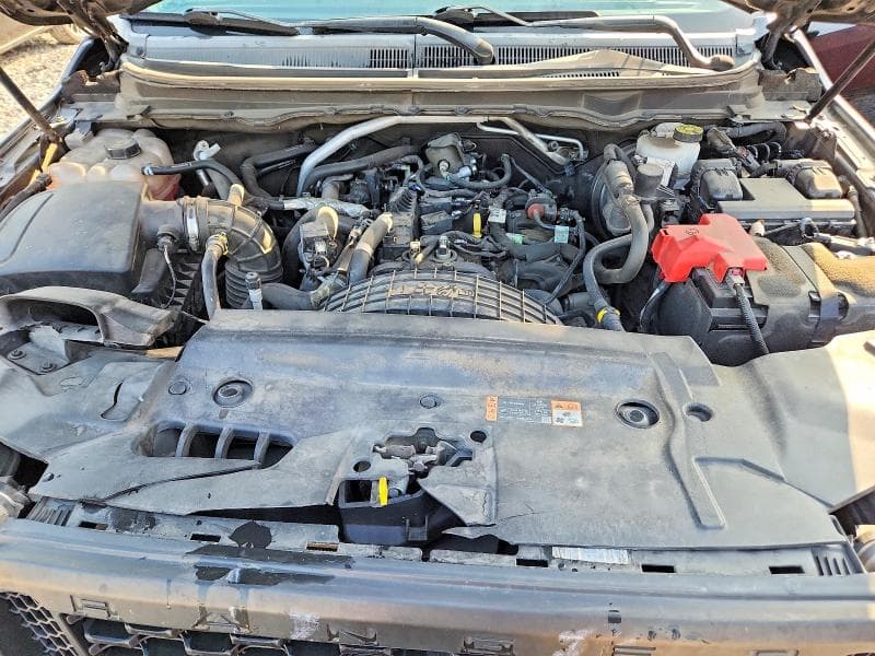 2019 FORD RANGER XL 11