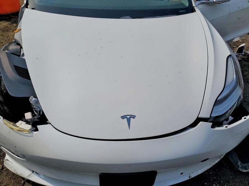 2019 TESLA MODEL 3 11