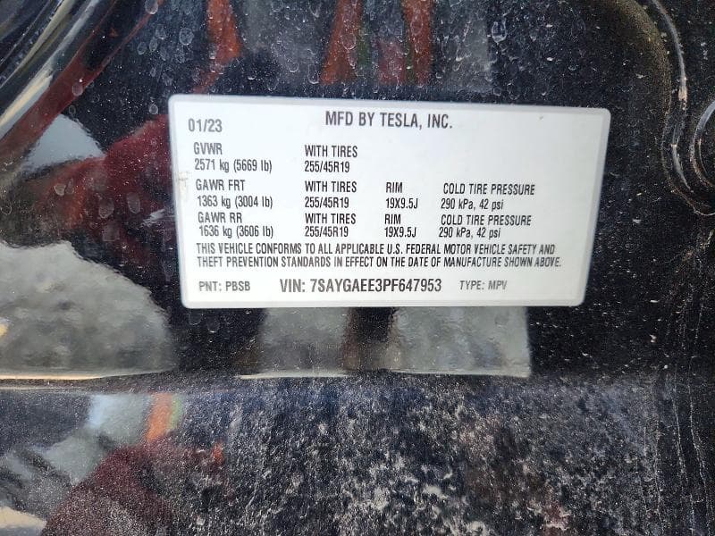 2023 TESLA MODEL Y 13