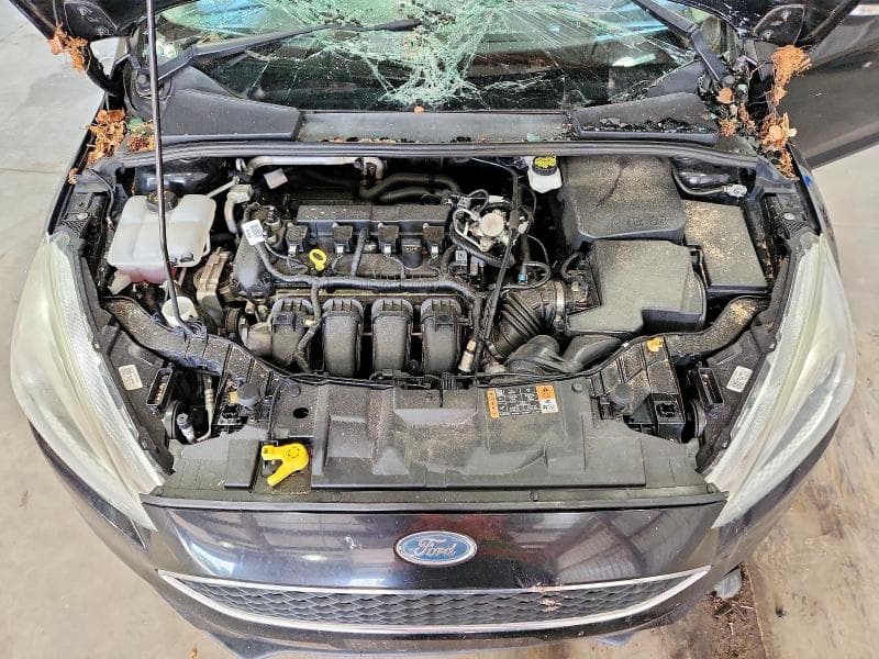 2018 FORD FOCUS SEL 11