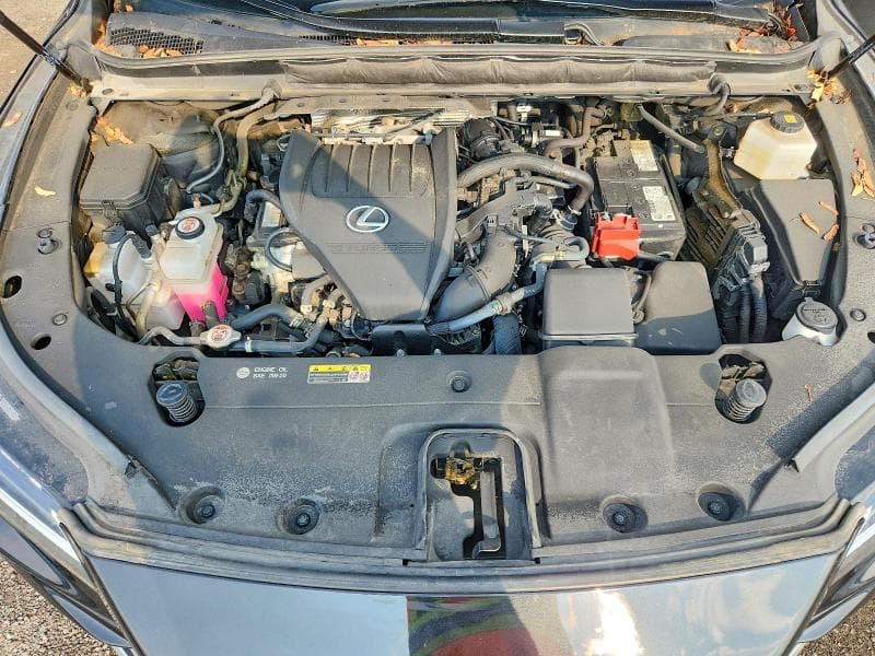 2024 LEXUS RX 350 BASE 11