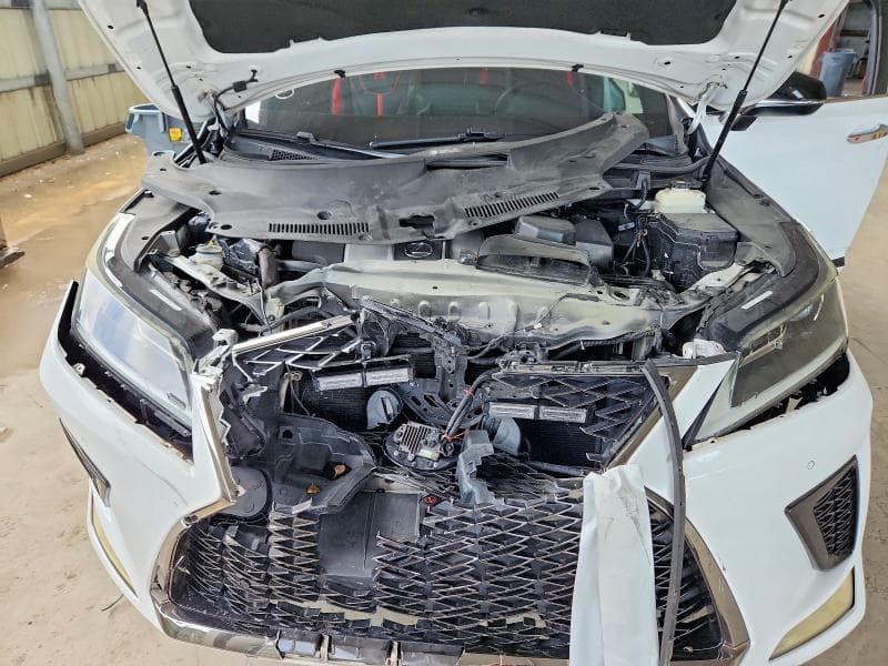2020 LEXUS RX 350 F SPORT 12