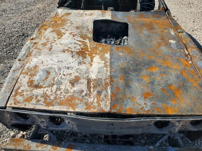 1981 PONTIAC FIREBIRD TRANS AM 11