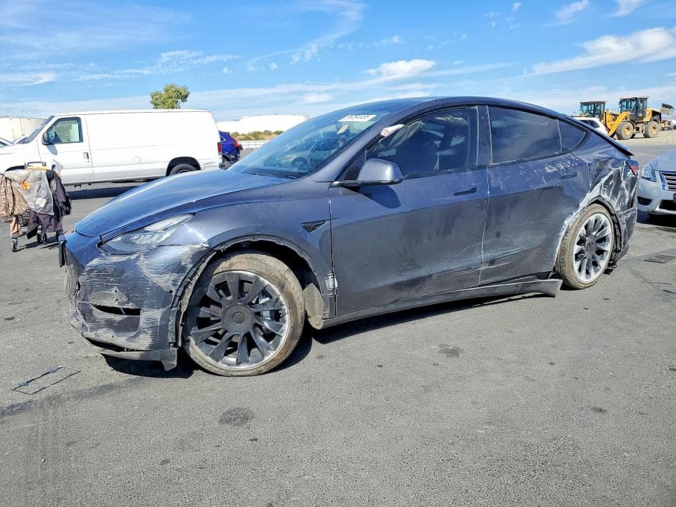 2021 TESLA MODEL Y - 1