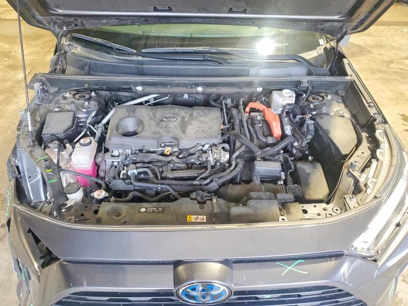 2024 TOYOTA RAV4 LE 11