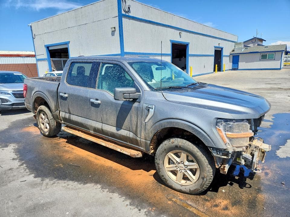 2025 FORD F150 XLT 4