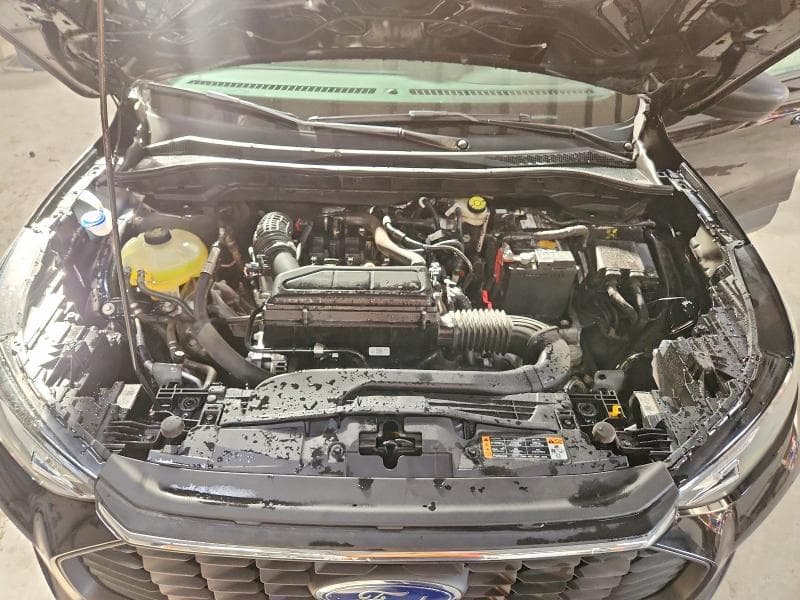 2025 FORD ESCAPE ACTIVE 12