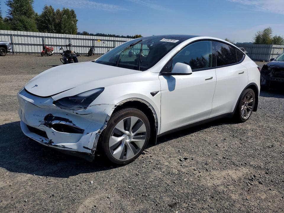 2023 TESLA MODEL Y - 1