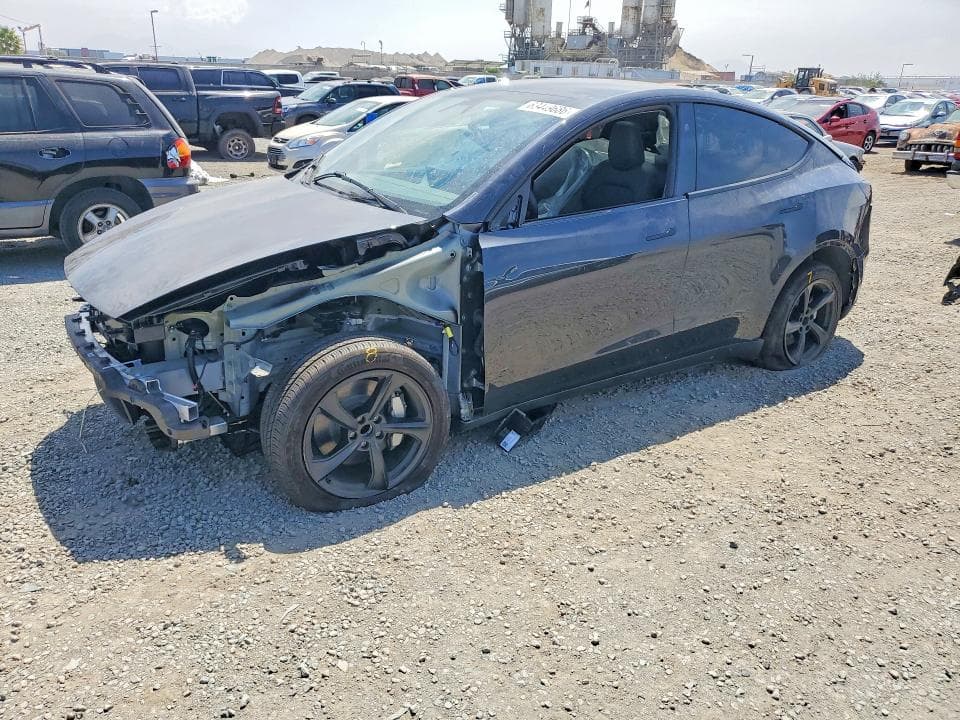 2026 TESLA MODEL Y - 1