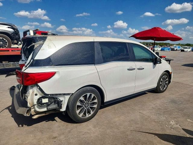 2024 HONDA ODYSSEY EXL 3