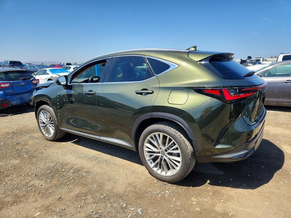2025 LEXUS NX 350H PREMIUM 2