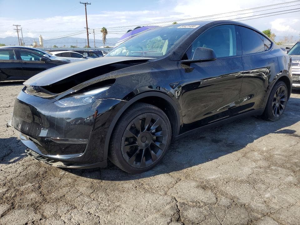 2025 TESLA MODEL Y - 1