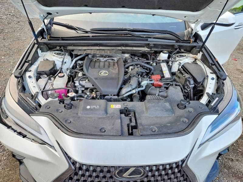 2024 LEXUS NX 350 BASE 12