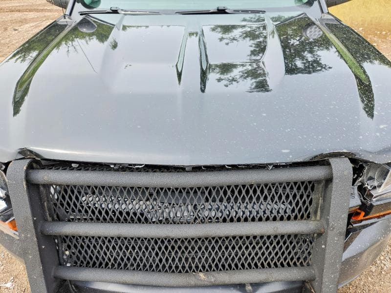 2019 CHEVROLET SILVERADO LD K1500 BASE/LS 11