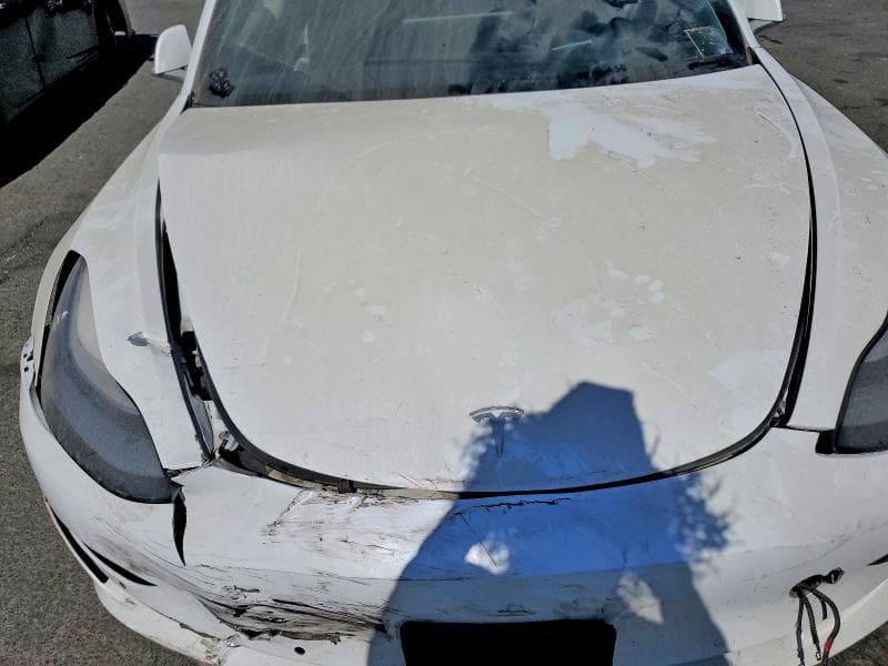 2019 TESLA MODEL 3 11